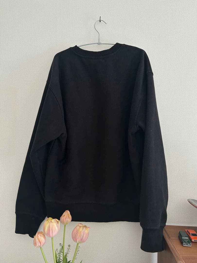 大学一年生 / stussy スウェット / トレーナー