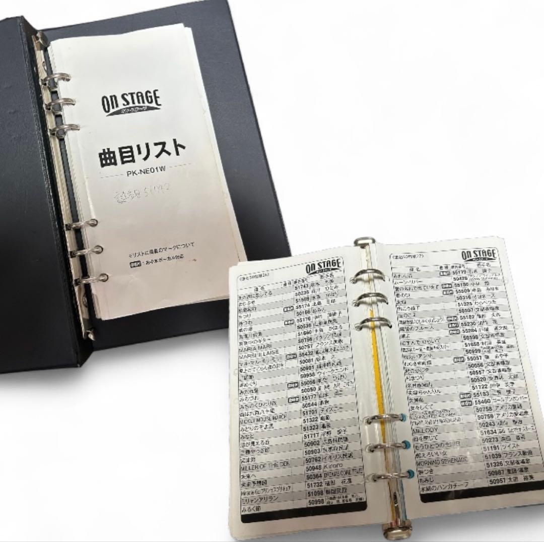 ON STAGE パーソナルカラオケPK-NE01W オン・ステージ　マイク2本