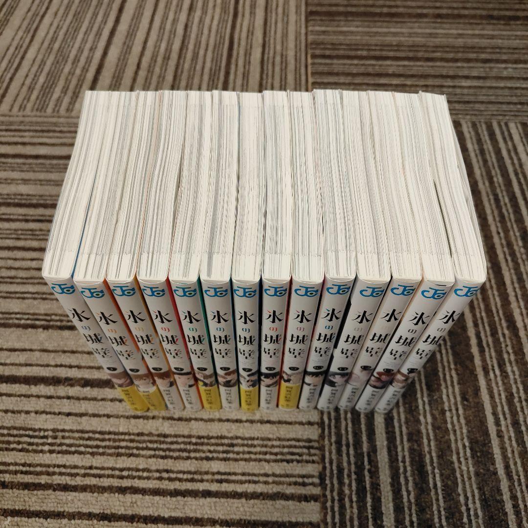 氷の城壁 阿賀沢紅茶 全14巻完結セット