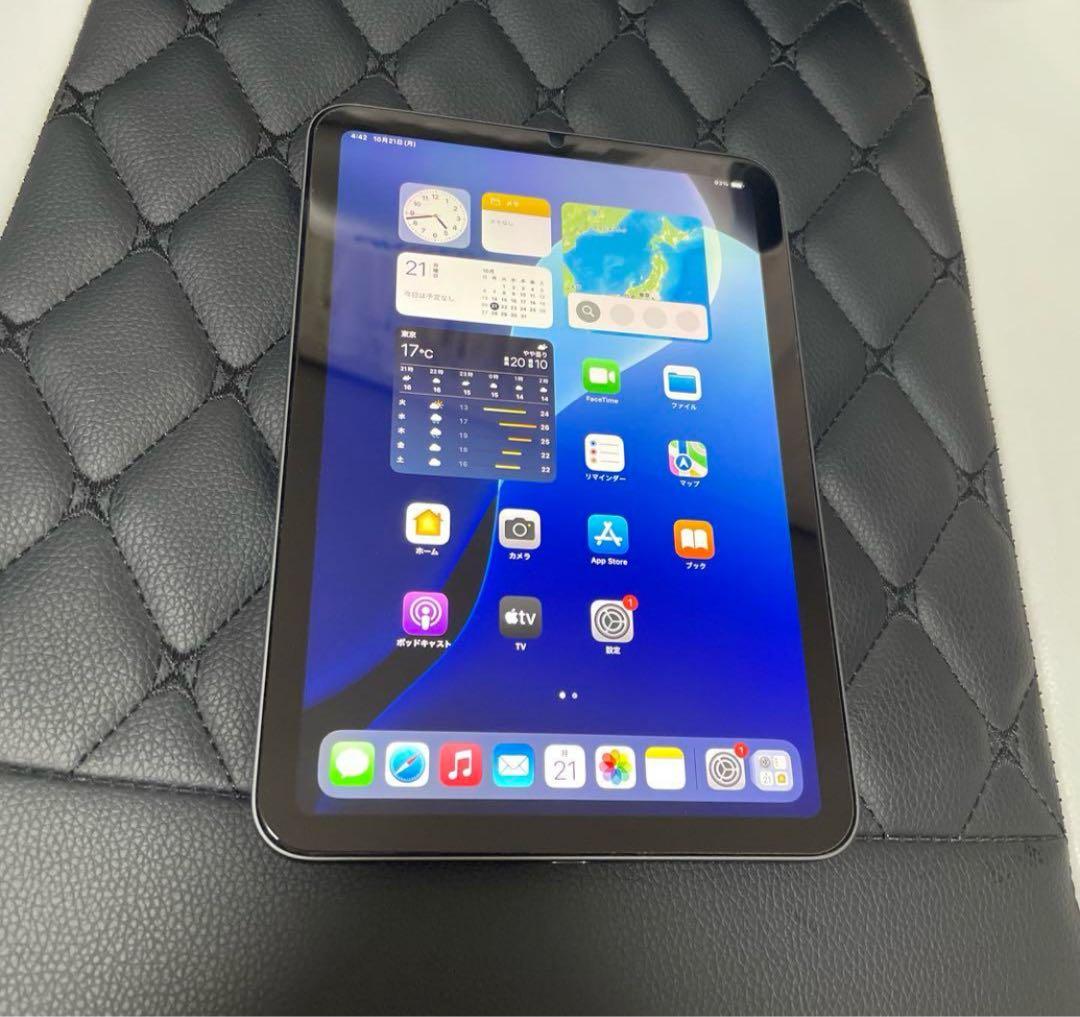 iPad mini (第5世代) 64GB スペースグレー 極美品