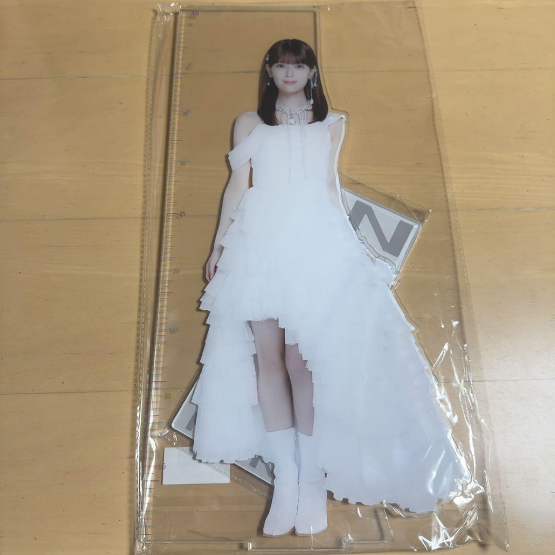 乃木坂46 lucky bag 2026 アクリルスタンド　岩本蓮加