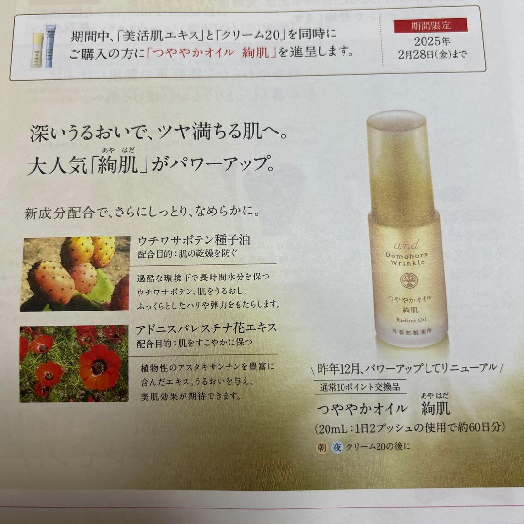 ドモホルンリンクル　セット