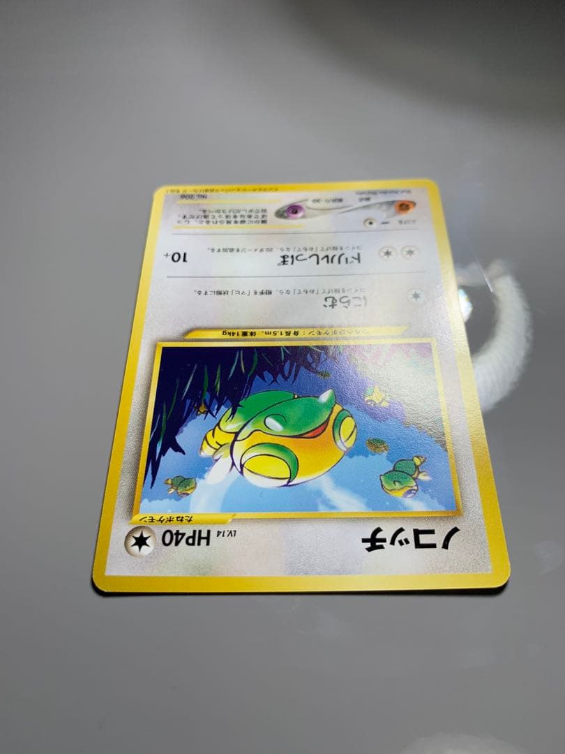 ノコッチ_インフォーメションパックおまけ PROMO 旧裏　おまけありポスター付