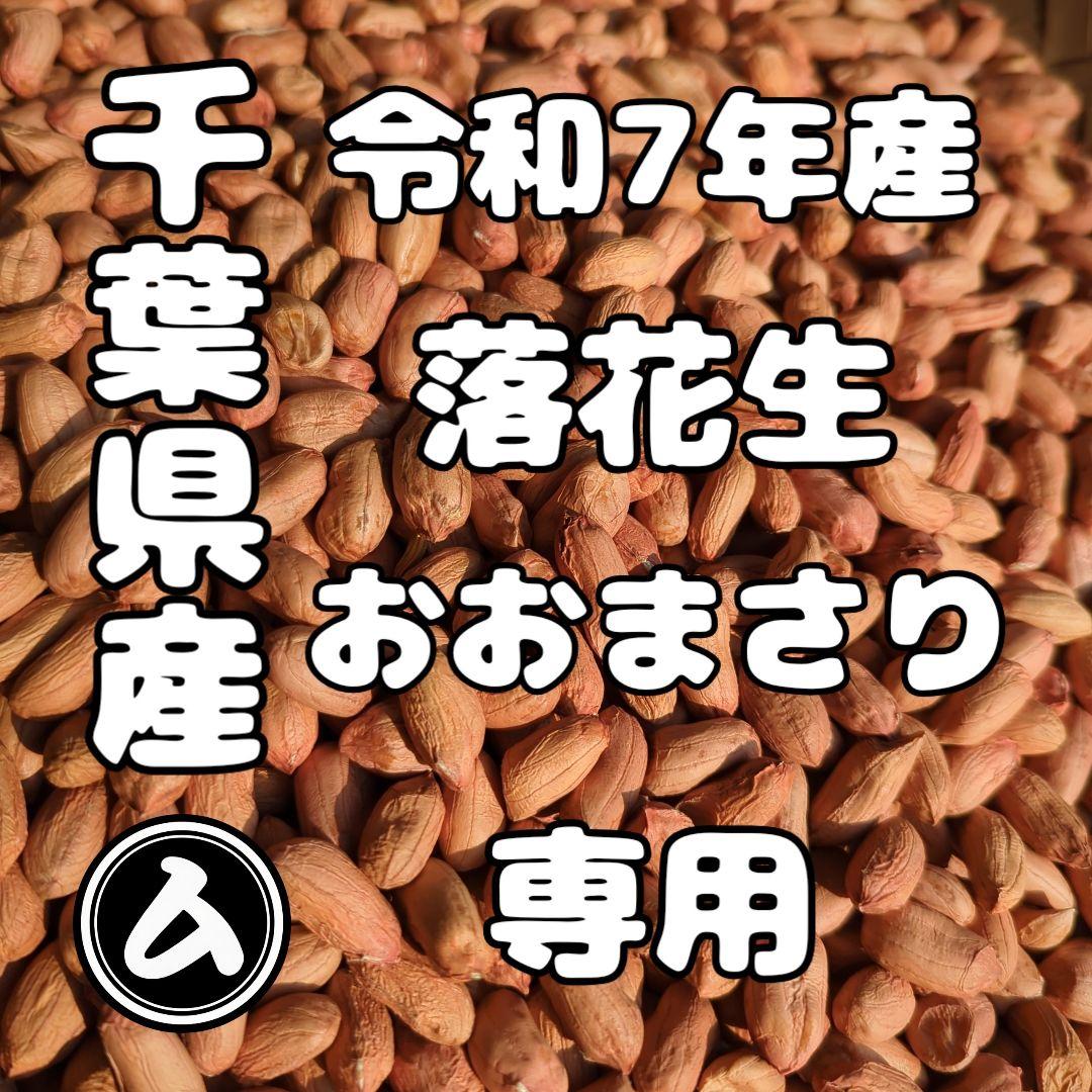 椿　千葉県産 おおまさり 手むき 乾燥生落花生