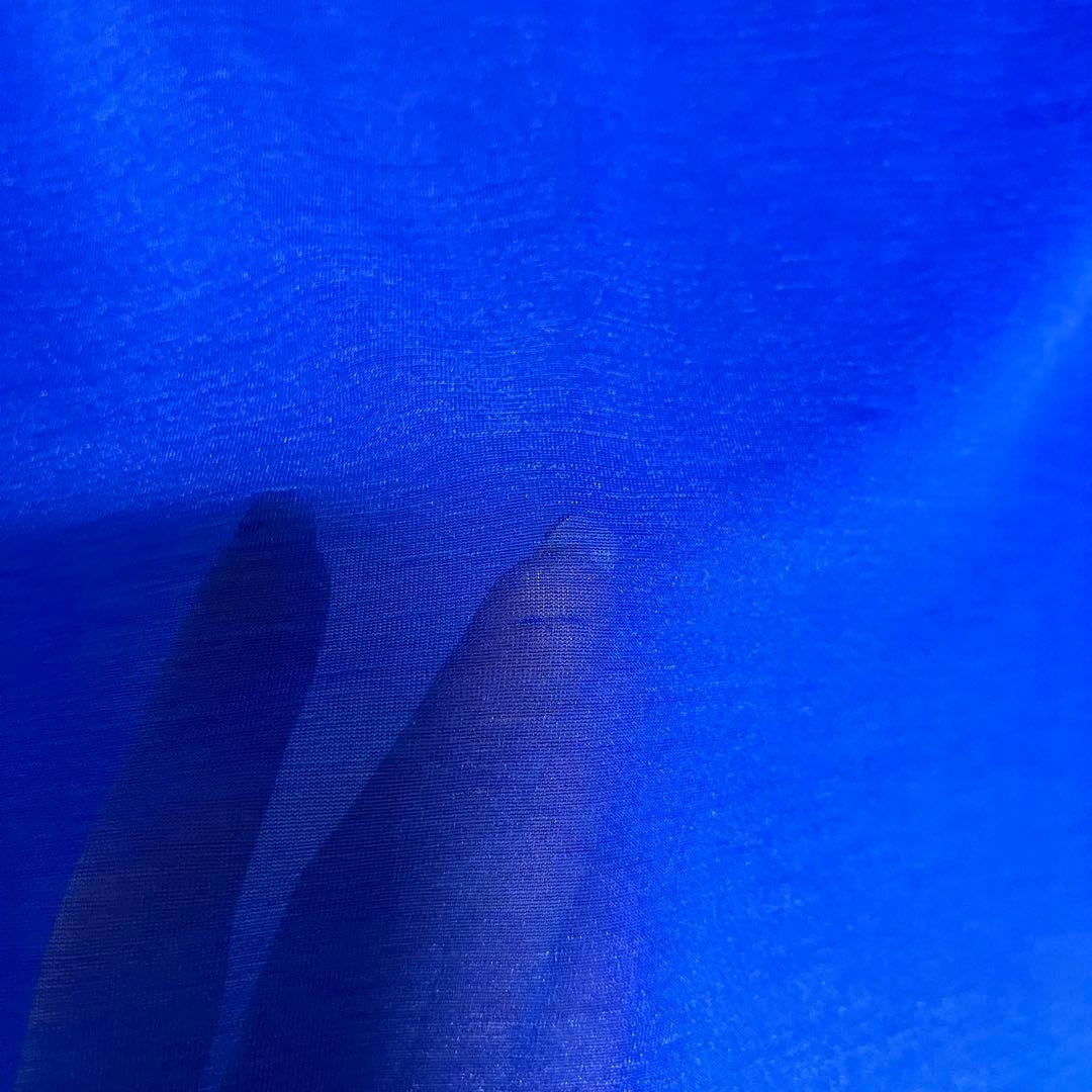 ドリスヴァンノッテン　シースルートップス