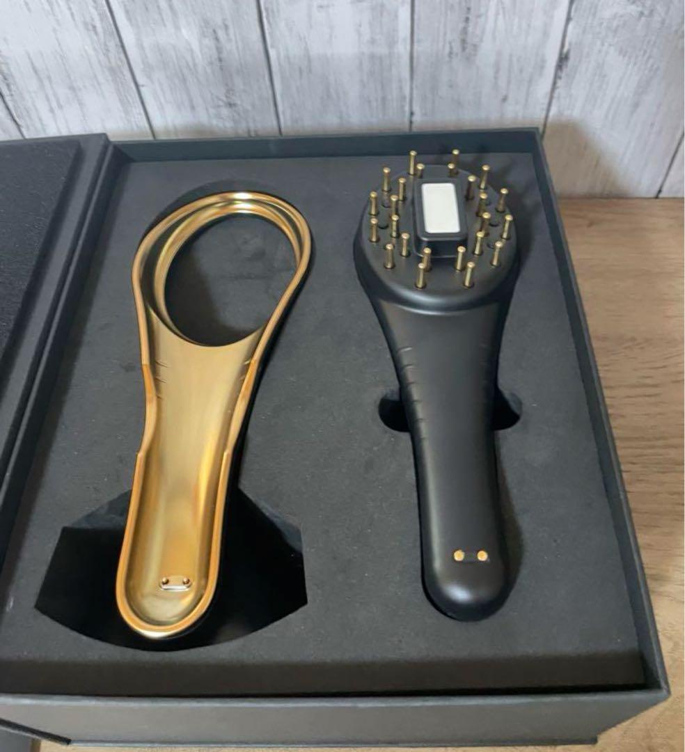 【美品】公式 ルルドプラズマエステブラシ