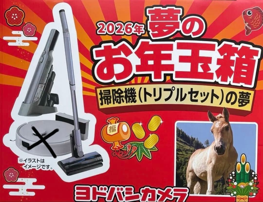 2026年 ヨドバシ 掃除機トリプルセットの夢 夢のお年玉箱 ロボット掃除機なし