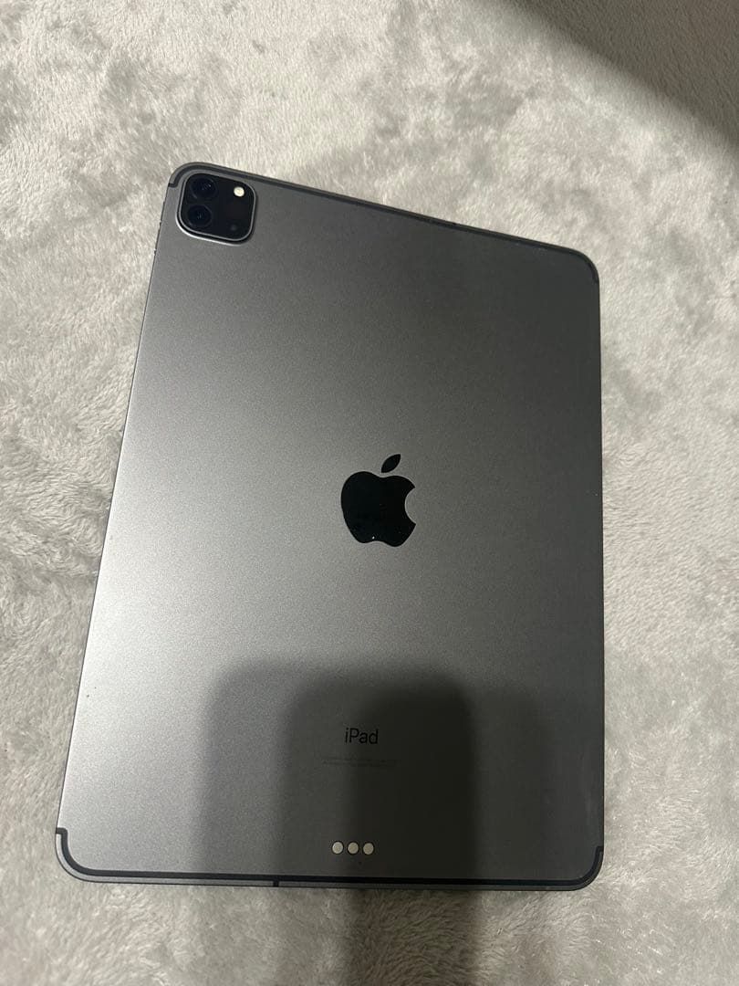 Apple iPad Pro (11インチ) 第2世代 512GB