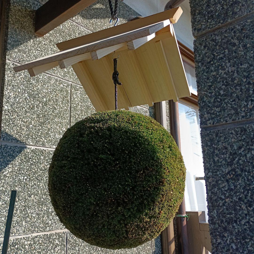 杉玉　屋根付き　直径37ｃｍ