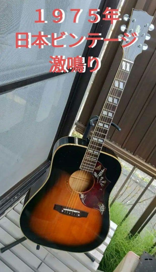 こ*ん様 経年美品 激鳴り トラ柾目 ハミングバード ダブルPU付きエレアコ