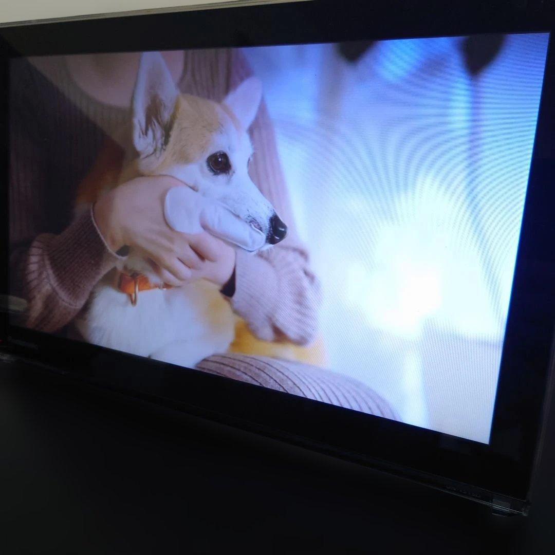 Panasonic プライベートビエラ UN-15T5D UN-T5S リモコン