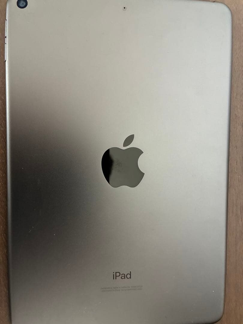 Apple iPad mini 第5世代 本体 最大容量90% 出品明日の朝まで