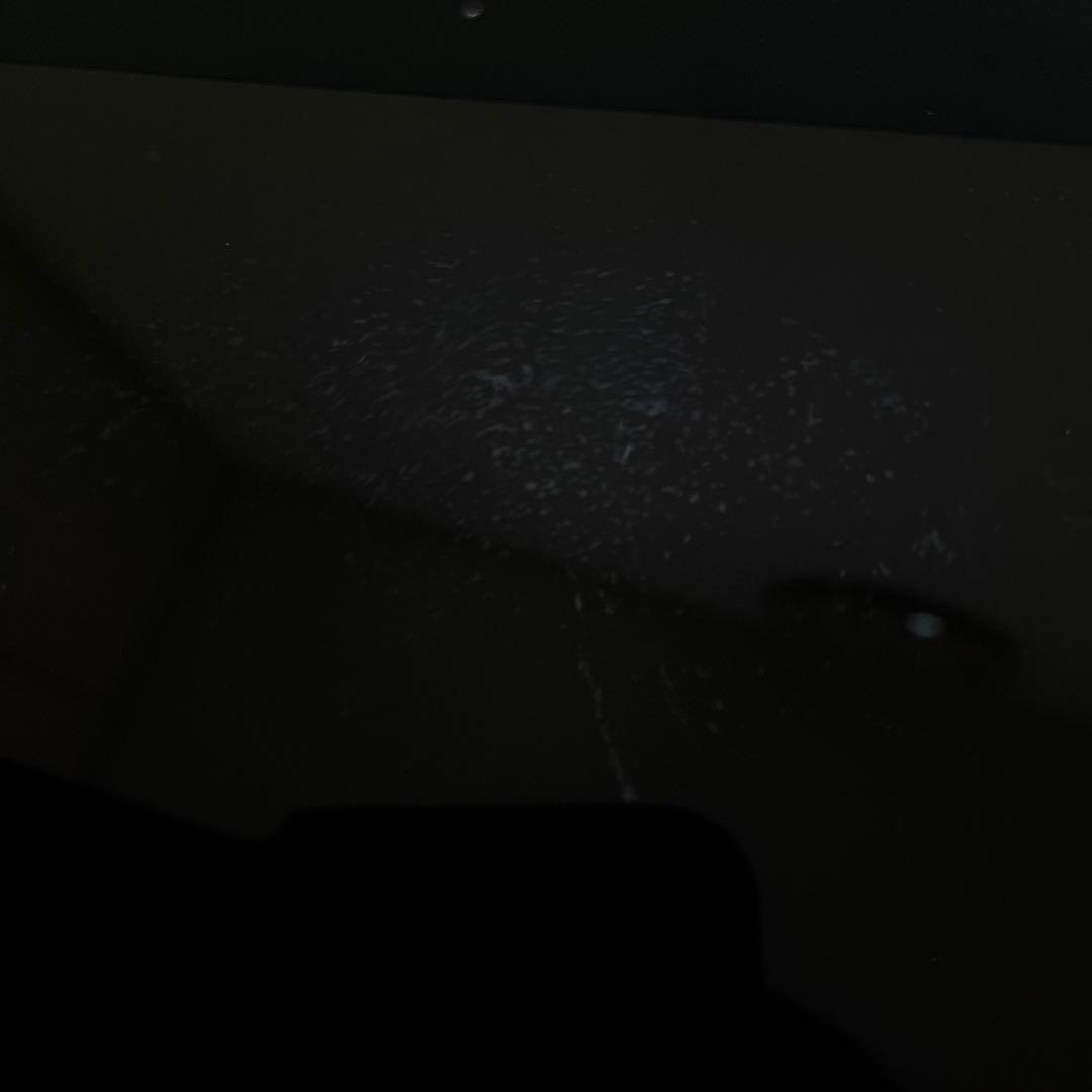 Apple iPad mini 第5世代 本体 最大容量90% 出品明日の朝まで