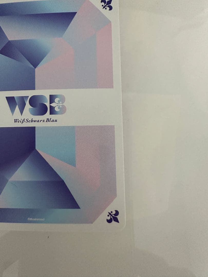 ヴァイスシュヴァルツブラウ　ブルーロック　ブラウな誘い　潔　世一　SSP