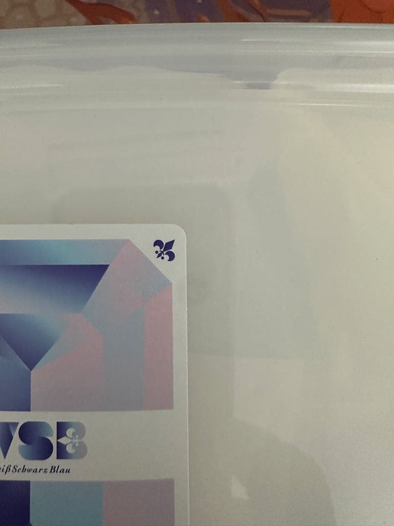 ヴァイスシュヴァルツブラウ　ブルーロック　ブラウな誘い　潔　世一　SSP