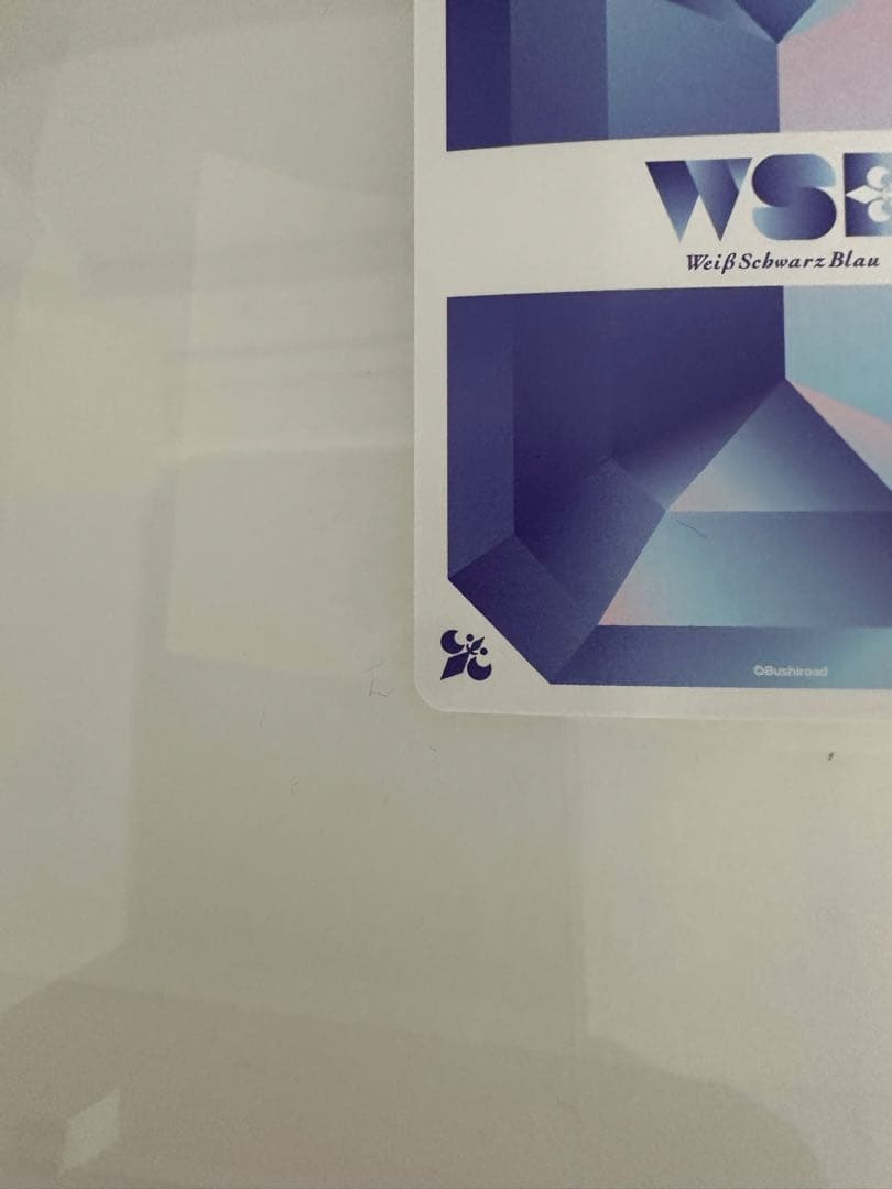 ヴァイスシュヴァルツブラウ　ブルーロック　ブラウな誘い　潔　世一　SSP