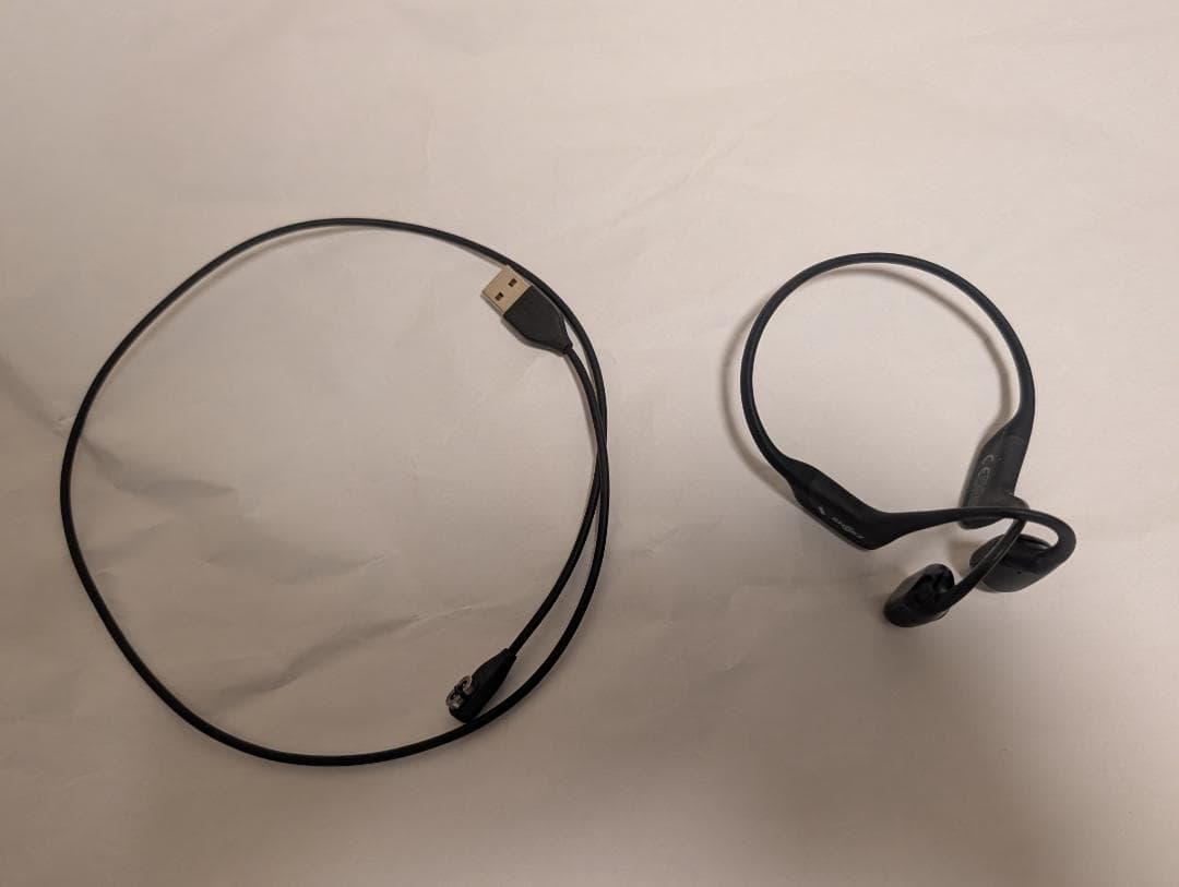 Shokz (ショックス) OpenRun Pro Mini 骨伝導イヤホン