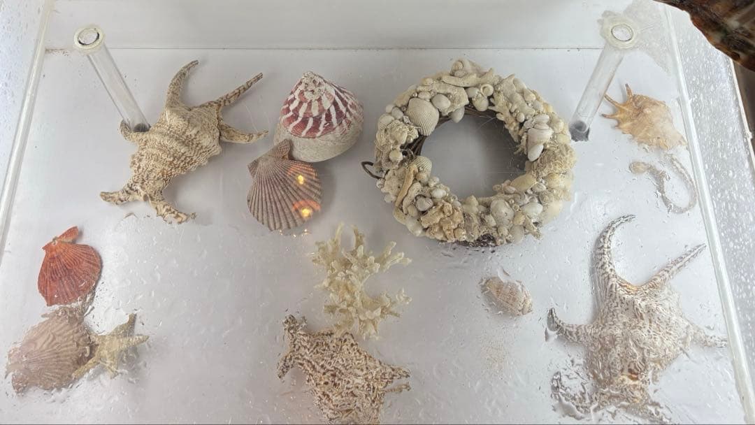 さきページ。になりますm(_ _)m