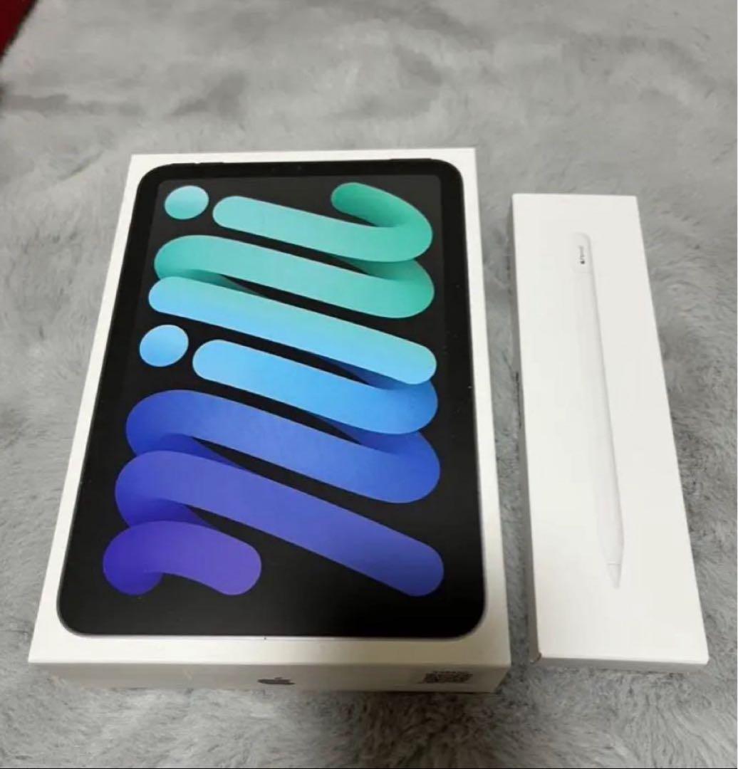 iPad Mini 第7世代 Apple Pencil (USB-C) セット