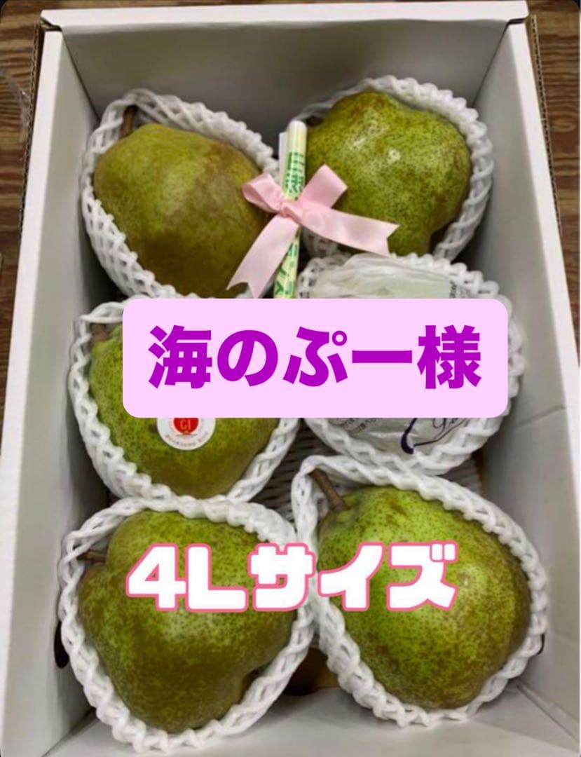 海のぷーさま 5箱まとめて