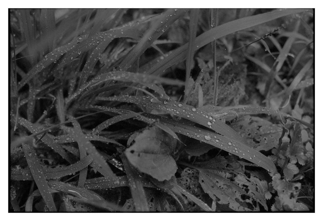 フィルム実写済み　Canon F-1 前期　レンズ5本セット