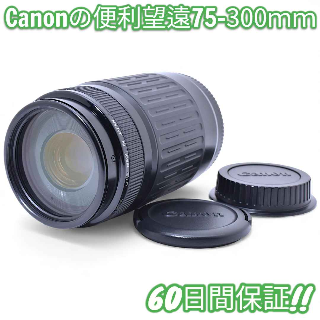 美品 Canon EF 75-300mm 4-5.6 #9588