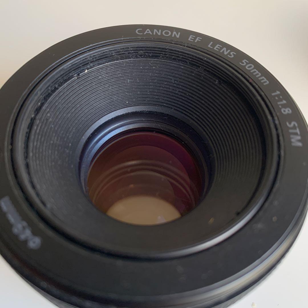 Canon EF 50mm f/1.8 STM 単焦点レンズ 0.35m