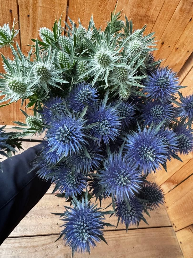 Nana-pooh【プロフ必読】様 リクエスト 4点 まとめ商品