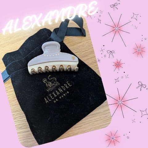 ★最終値下げ済★ALEXANDREストーン付♡ヘアクリップ♡