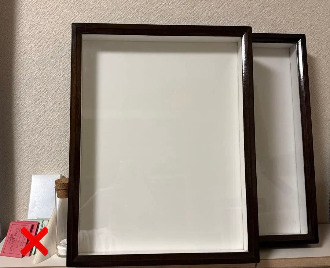 中型ドイツ箱 2個 展翅テープ・殺虫瓶・三角紙 追加あり(6/16)