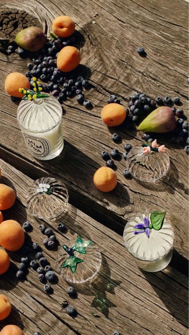 【希少】ディプティック diptyque キャンドルリッド ハーバリウム ミモザ