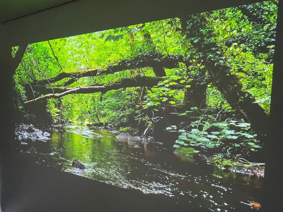 Apple iPhone 12 128GB 海外中古購入 SIMフリー