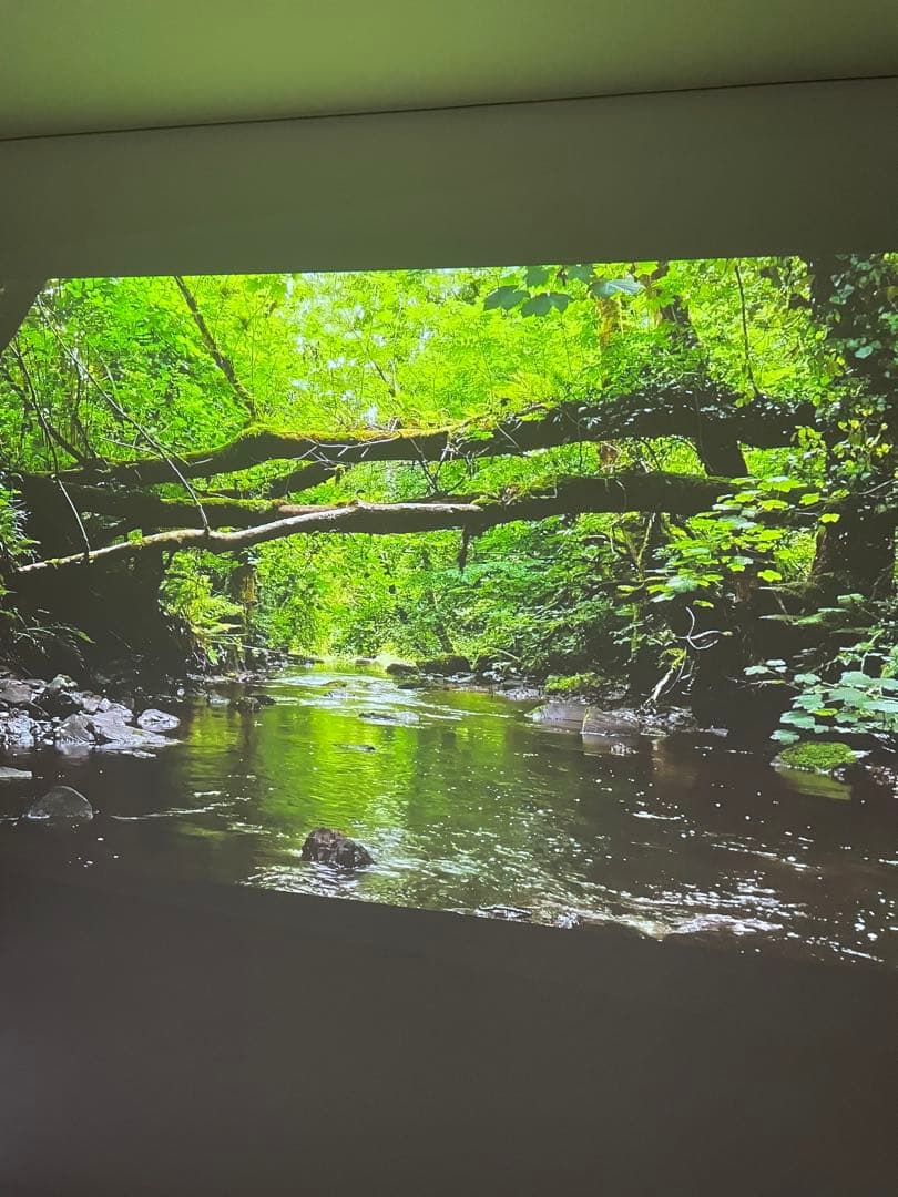 Apple iPhone 12 128GB 海外中古購入 SIMフリー