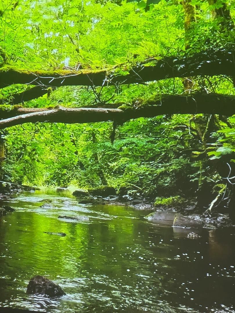 Apple iPhone 12 128GB 海外中古購入 SIMフリー