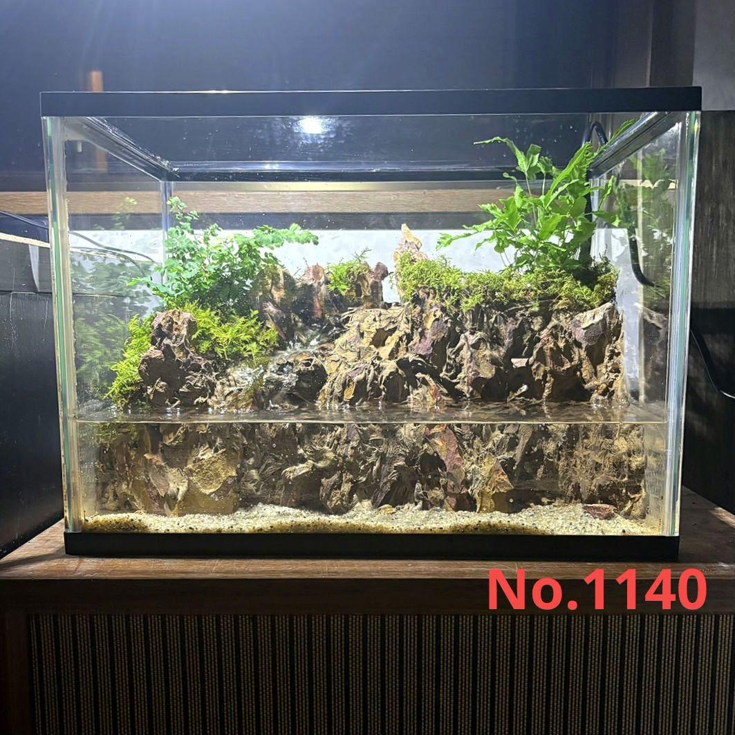 滝の流れるアクアテラリウム　イモリウム　No.1140