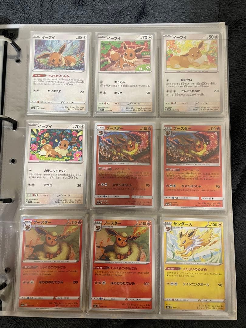 ポケモンカード　引退品　ブイズのみ　ファイル付き
