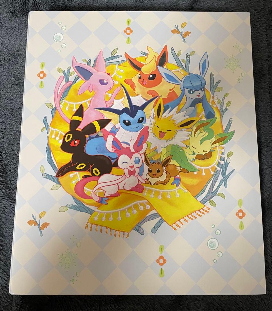 ポケモンカード　引退品　ブイズのみ　ファイル付き