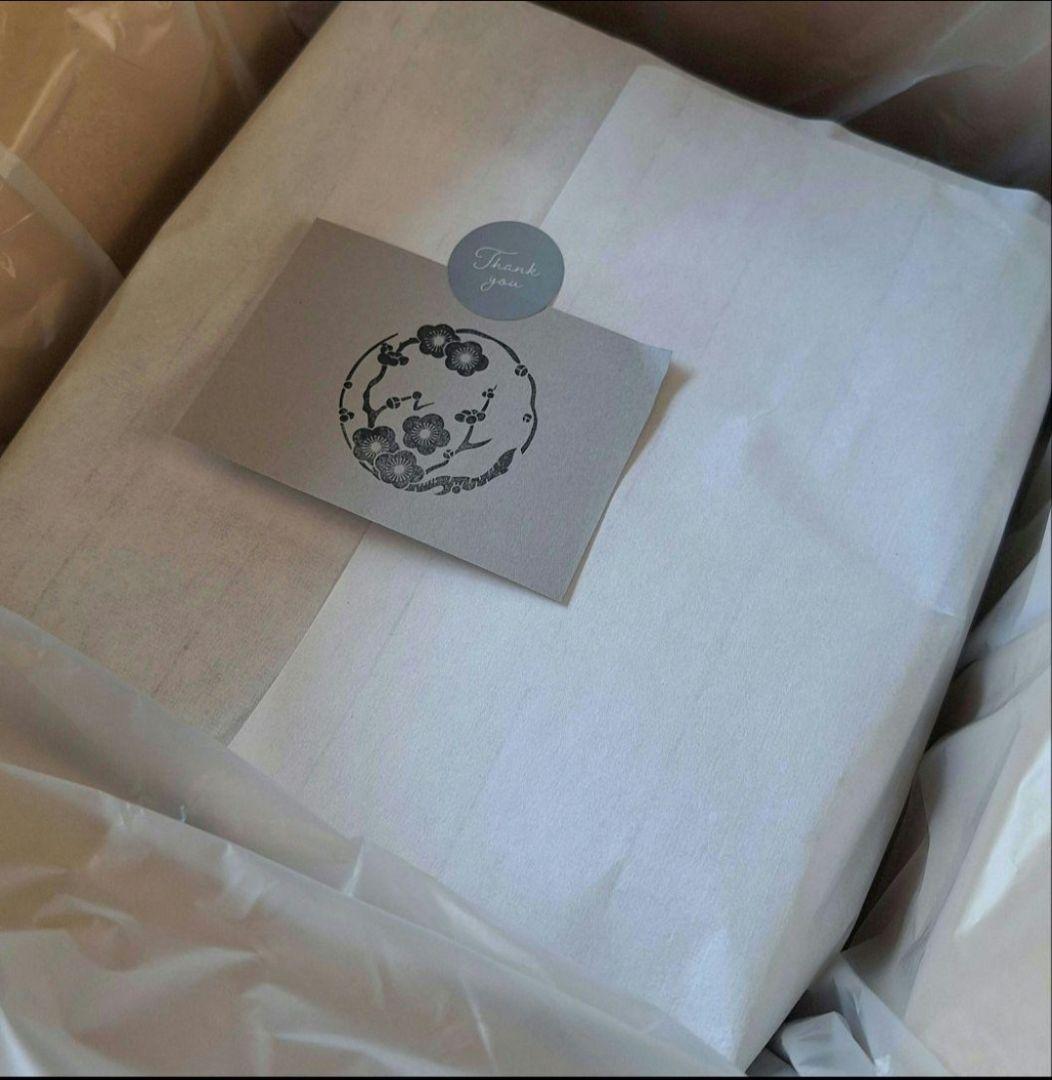 Kazumi　つぶれ梅干し6kg