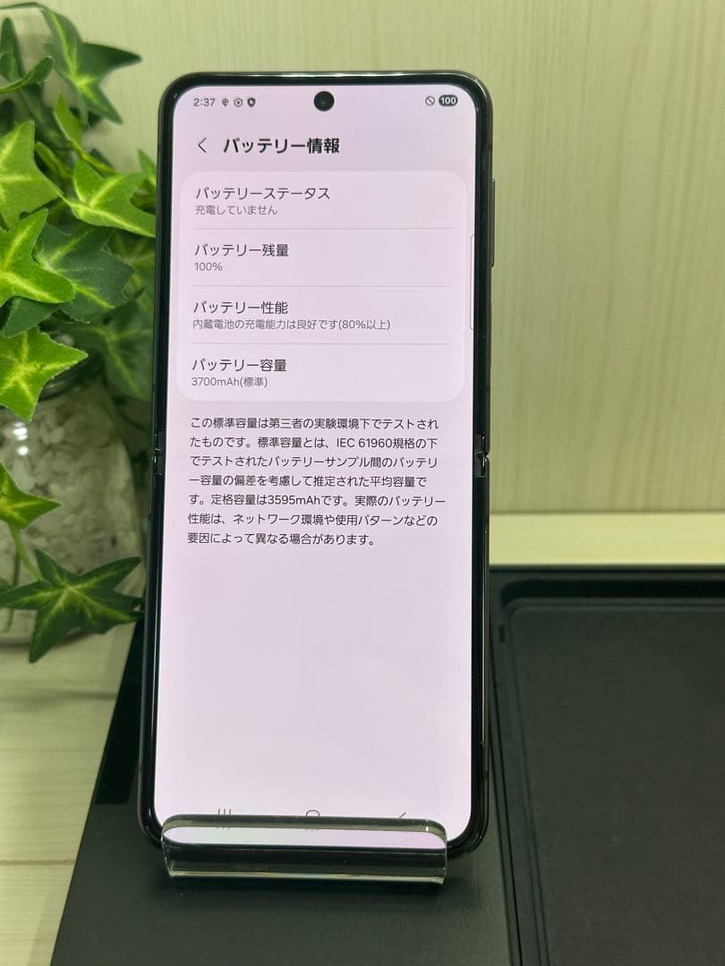 ✅SAMSUNG Galaxy Z Flip4 5G(訳あり)