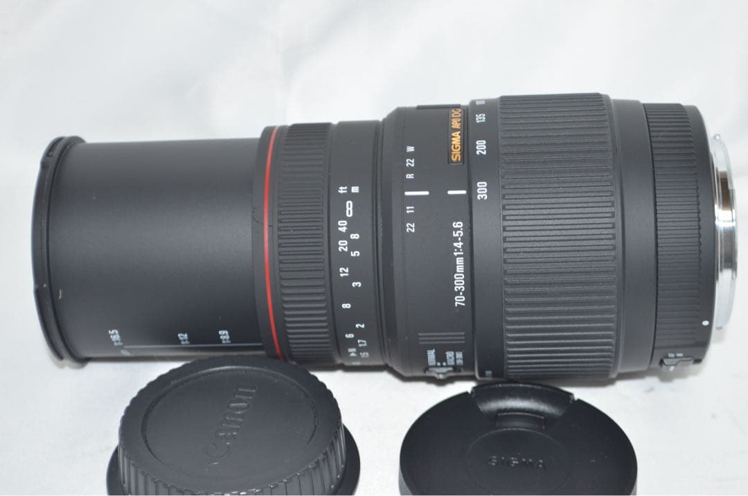 ★美品★ シグマ SIGMA APO 70-300mm DGキヤノンEF用