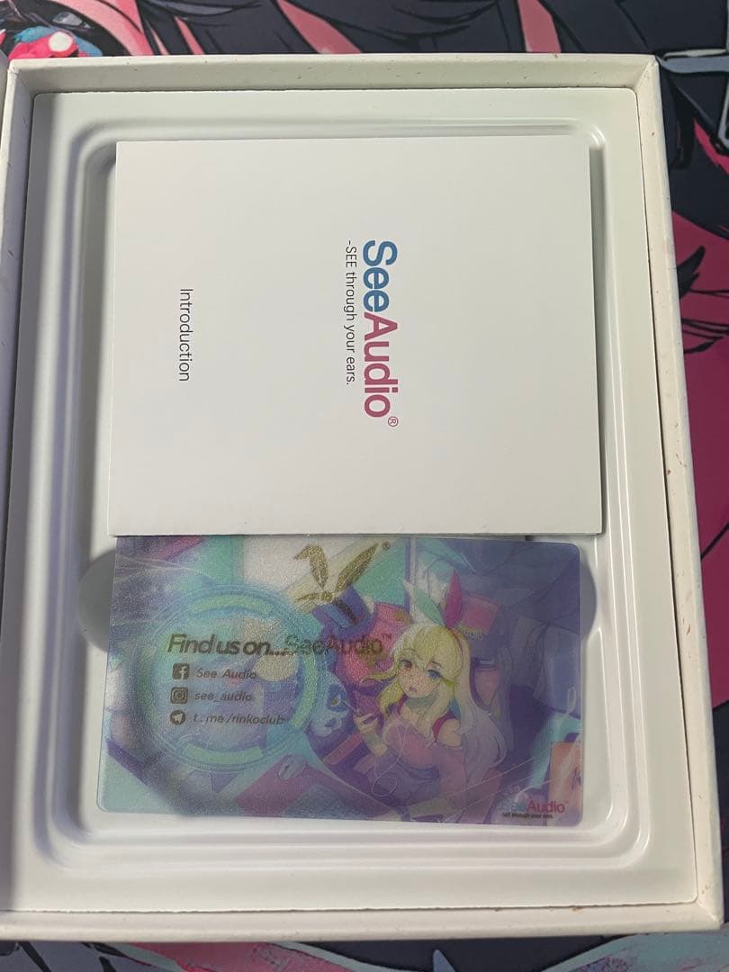 イヤホン SeeAudio Rinko 3.5mm