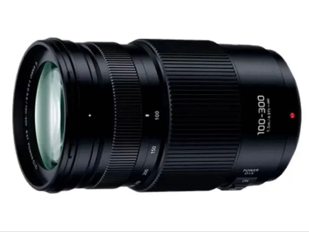 か*ん様 【新品級】LUMIX G VARIO 100-300mmF4.0-5.