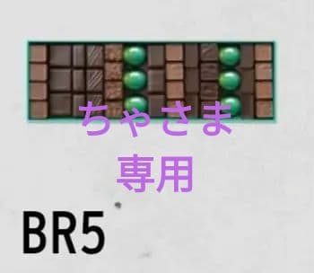 パトリックロジェ　アソートチョコレート