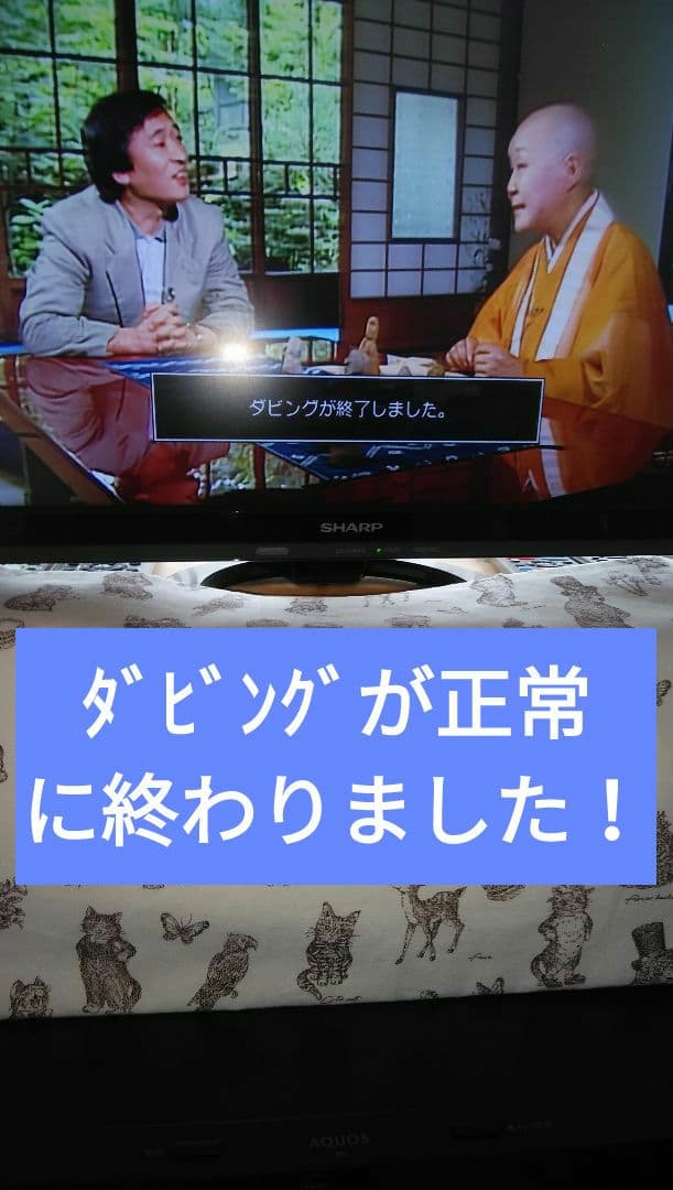 2B-C10BT1/三番組同録・4K再生可/2019年モデル実動確認品/純リモ付