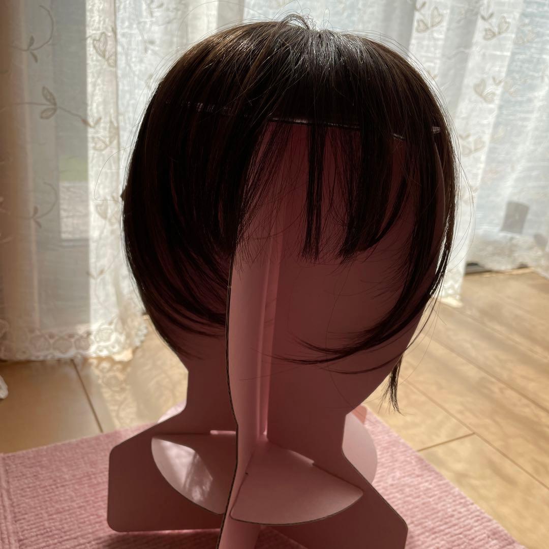 カズエウィッグ