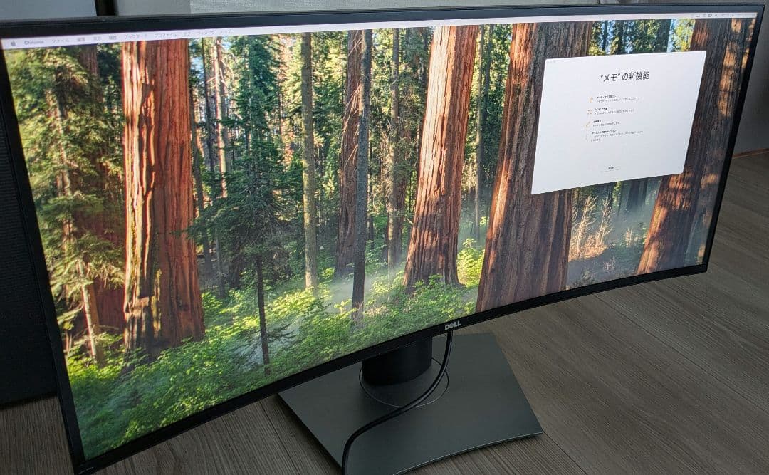 【美品・プロ梱包】Dell U3419W 34インチ曲面モニター 送料込