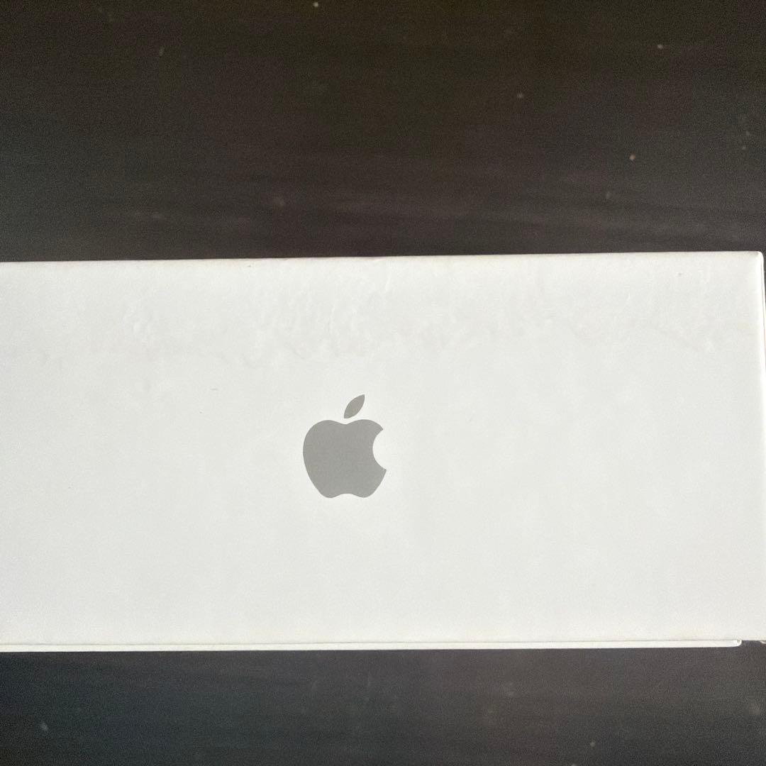 Apple AirPods 2本体 充電ケース付き