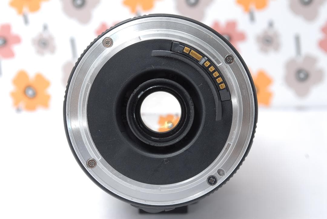 ❤Canon EOS 6D❤フルサイズ一眼レフ❤万能望遠レンズ❤Wi-Fi搭載❤