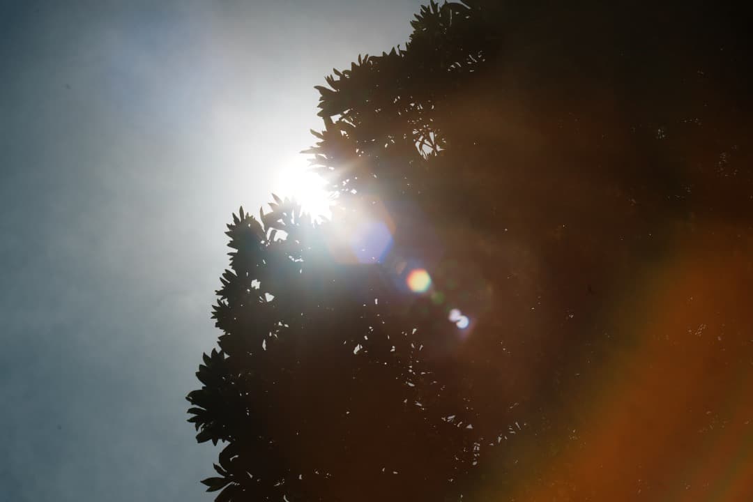 【希少8枚玉】動作◎ Super Takumar 50mm F1.4 716