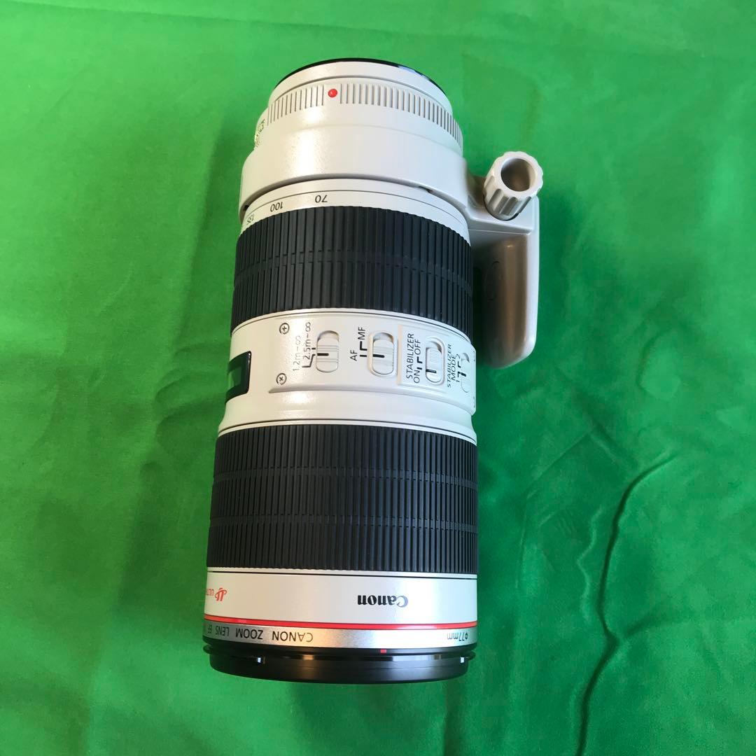 Canon EF70-200mm f/2.8L IS Ⅱ USM